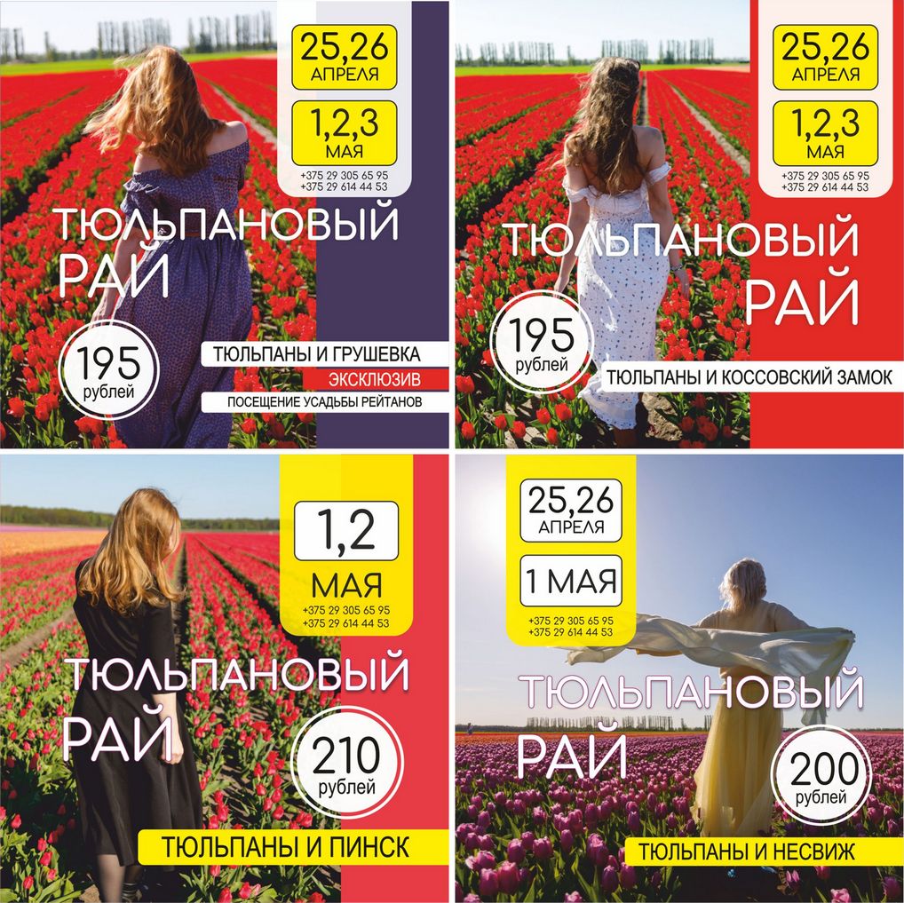 tyulani_gr_2026 Тюльпановый рай