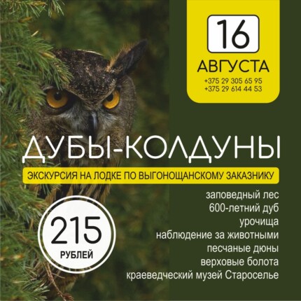 Дубы-колдуны