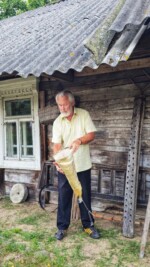 Дубы колдуны