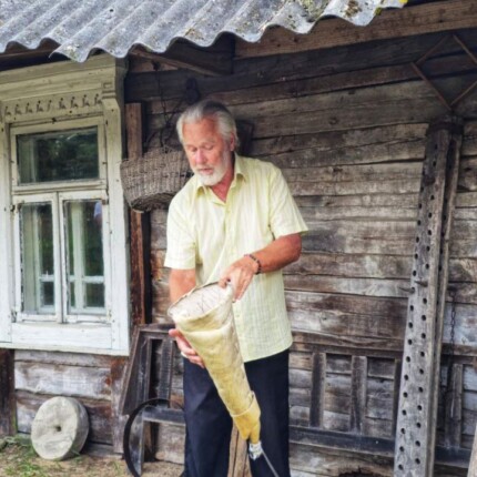 Дубы колдуны