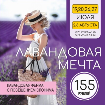 Лавандовая мечта