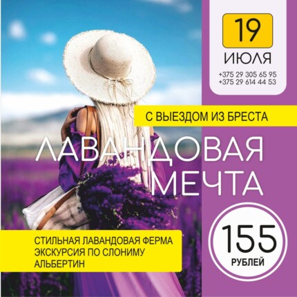 Лавандовая мечта (Выезд из Бреста)