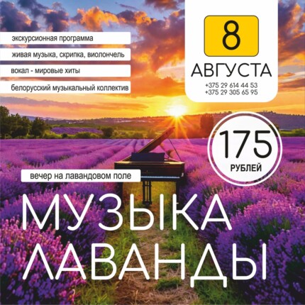 Музыка лаванды
