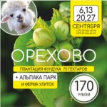 Орехово