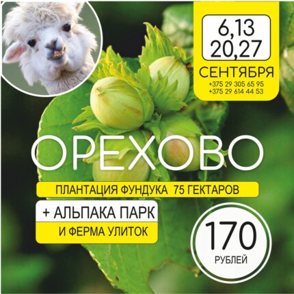 Орехово