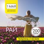 Тюльпановый рай и Несвиж