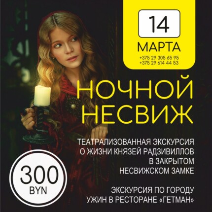 Ночной Несвиж