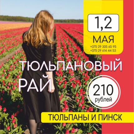 Тюльпановый рай и Пинск