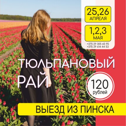 Тюльпановый рай (Выезд из Пинска)