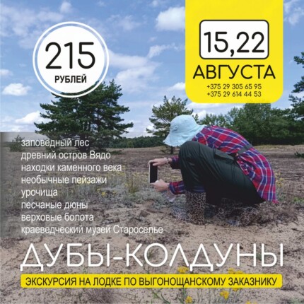 Дубы-колдуны